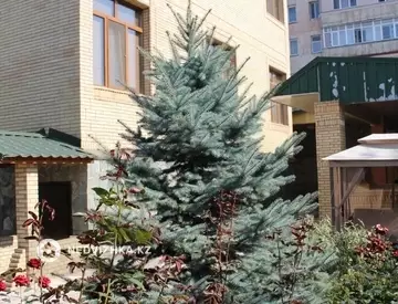 660 м², 10-комнатный дом, 11 соток, 660 м², изображение - 72