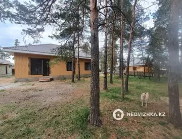 160 м², 4-комнатный дом, 10 соток, 160 м², изображение - 20