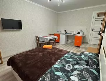 1-комнатная квартира, этаж 5 из 9, 20 м², посуточно