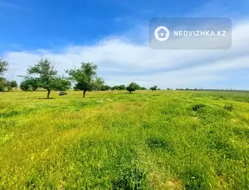 0 м², Участок 300.0 соток, изображение - 13