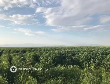 Участок 160.0 га