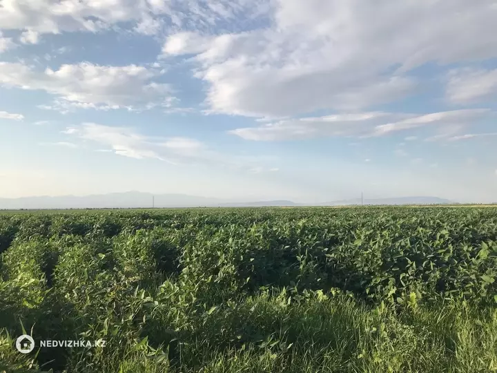 0 м², Участок 160.0 га, изображение - 1