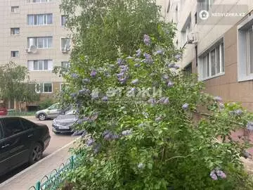 60 м², 2-комнатная квартира, этаж 2 из 5, 60 м², изображение - 13