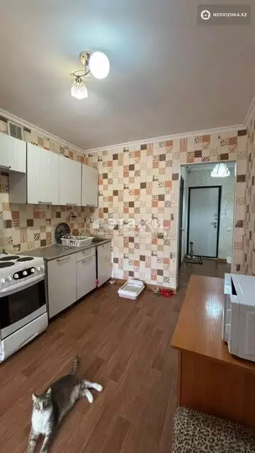 1-комнатная квартира, этаж 6 из 6, 34 м²