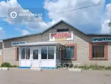 Торговое помещение, этаж 1 из 1, 390 м²