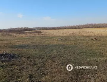 0 м², Участок 0.4 га, изображение - 4
