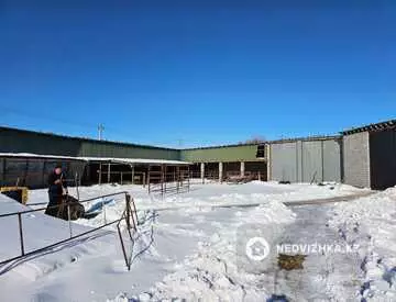 Готовый бизнес, отдельно стоящее здание, этаж 1 из 1, 620 м²