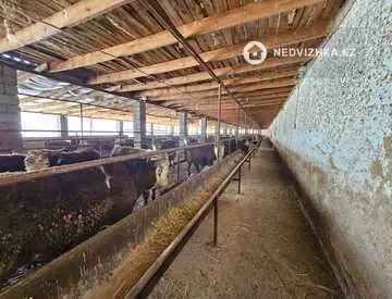 620 м², Готовый бизнес, отдельно стоящее здание, этаж 1 из 1, 620 м², изображение - 5