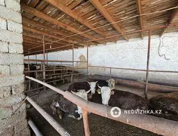 620 м², Готовый бизнес, отдельно стоящее здание, этаж 1 из 1, 620 м², изображение - 13