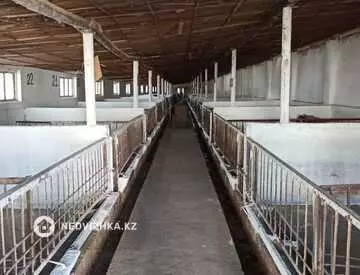 350 м², 10-комнатный дом, 600 соток, 350 м², изображение - 9