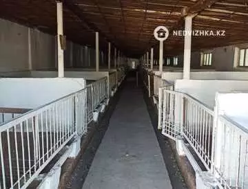 350 м², 10-комнатный дом, 600 соток, 350 м², изображение - 25