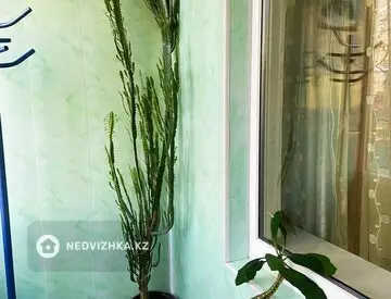 52 м², 2-комнатная квартира, этаж 2 из 5, 52 м², изображение - 13