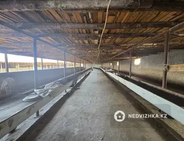 800 м², Готовый бизнес, отдельно стоящее здание, этаж 1 из 1, 800 м², изображение - 9