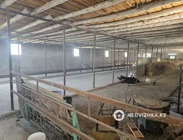 800 м², Готовый бизнес, отдельно стоящее здание, этаж 1 из 1, 800 м², изображение - 8