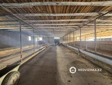 800 м², Готовый бизнес, отдельно стоящее здание, этаж 1 из 1, 800 м², изображение - 22