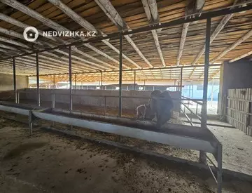800 м², Готовый бизнес, отдельно стоящее здание, этаж 1 из 1, 800 м², изображение - 23