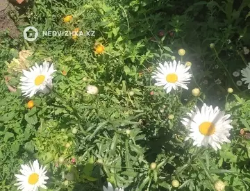97 м², 3-комнатный дом, 5 соток, 97 м², изображение - 40