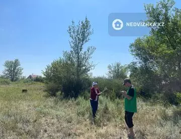 Участок 8.0 соток