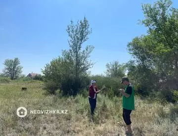 Участок 8.0 соток