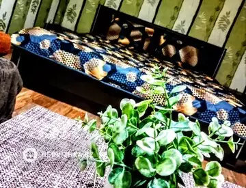 1-комнатная квартира, этаж 3 из 5, 35 м², посуточно