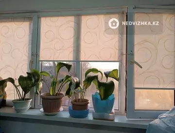 50.8 м², 2-комнатная квартира, этаж 3 из 5, 51 м², изображение - 15