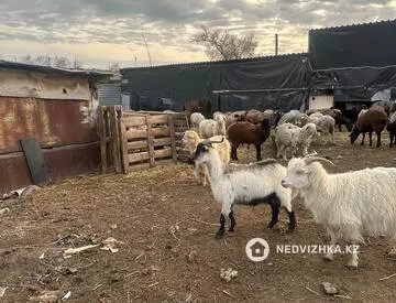 50 м², Готовый бизнес, в жилом доме, этаж 1 из 1, 50 м², изображение - 9