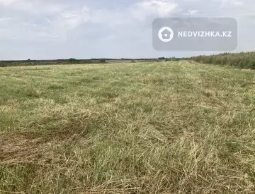 Участок 8.0 соток