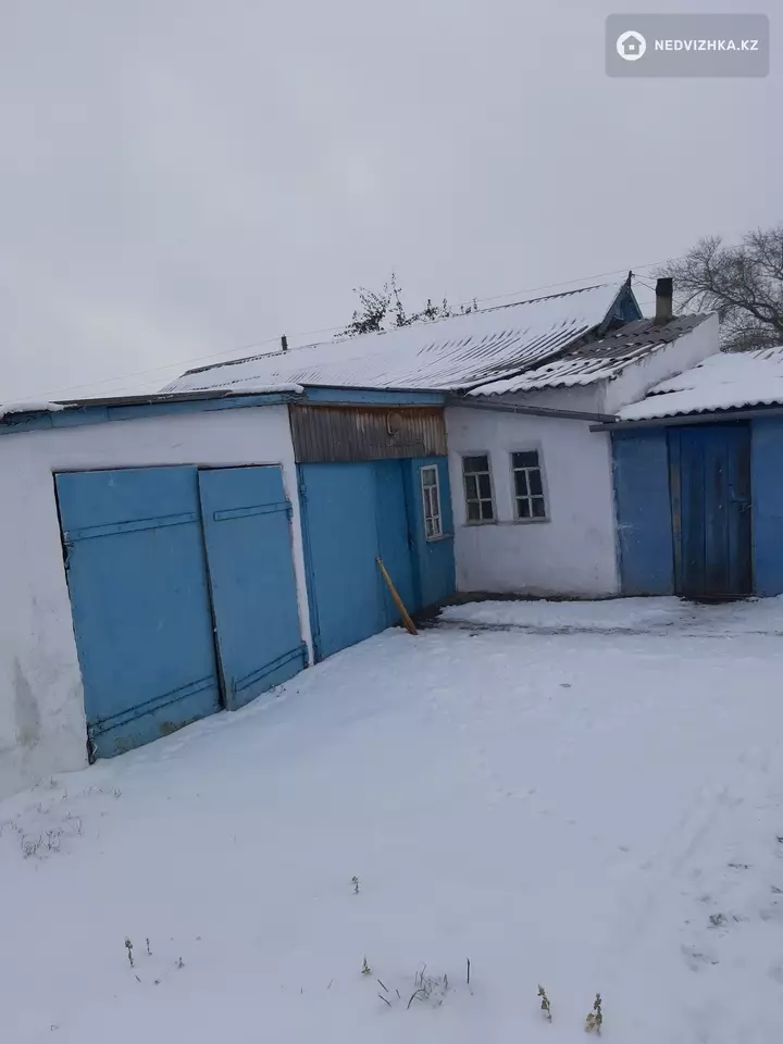 38.6 м², 2-комнатный дом, 19.2 соток, 39 м², изображение - 1
