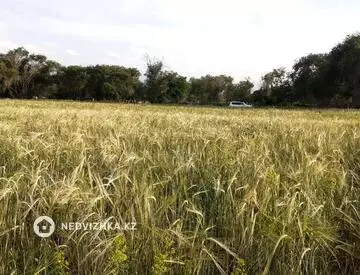 Участок 635.0 соток