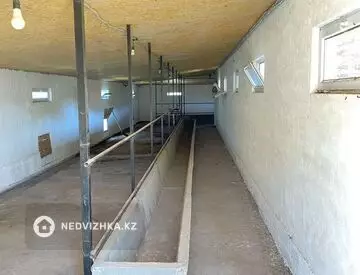 Готовый бизнес, отдельно стоящее здание, этаж 1 из 1, 400 м²