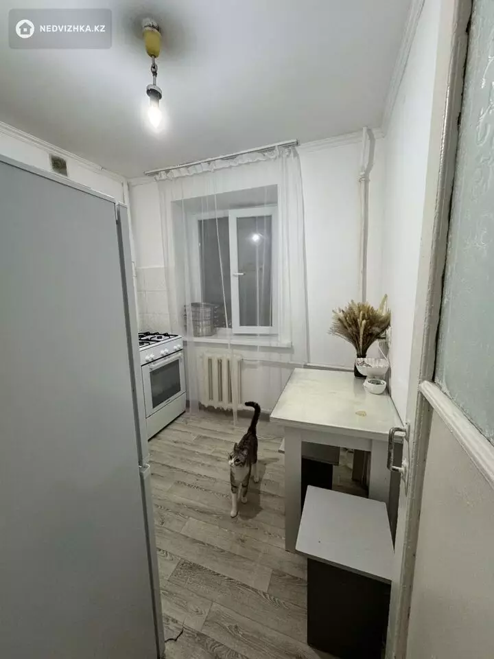 41.6 м², 2-комнатная квартира, этаж 3 из 4, 42 м², на длительный срок, изображение - 1