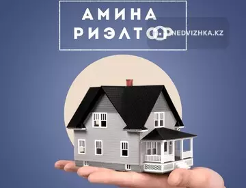 Амина