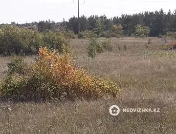 Участок 24.0 соток