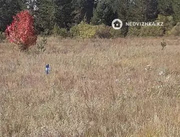 0 м², Участок 24.0 соток, изображение - 7