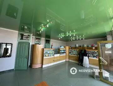 200 м², Торговое помещение, этаж 1 из 1, 200 м², изображение - 5
