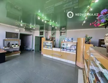 200 м², Торговое помещение, этаж 1 из 1, 200 м², изображение - 10