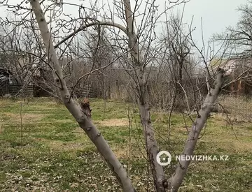 40 м², 3-комнатная дача, 12 соток, 40 м², изображение - 14