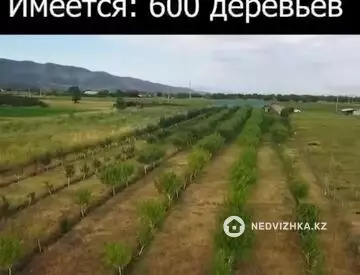 Участок 1.0 га