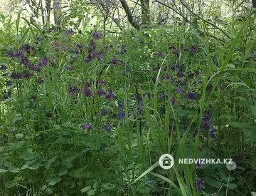 3-комнатный дом, 8 соток, 50 м²