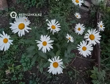 50 м², 3-комнатный дом, 8 соток, 50 м², изображение - 13