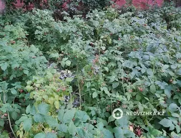 50 м², 3-комнатный дом, 8 соток, 50 м², изображение - 30