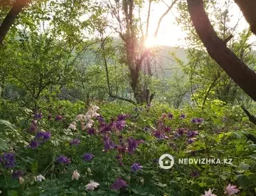 50 м², 3-комнатный дом, 8 соток, 50 м², изображение - 28