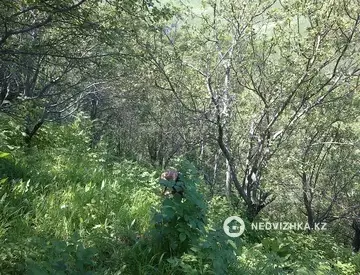 50 м², 3-комнатный дом, 8 соток, 50 м², изображение - 32