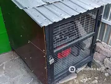 87 м², 4-комнатный дом, 4 соток, 87 м², изображение - 19