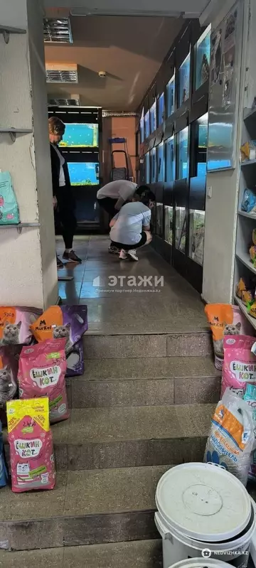 Торговое помещение, этаж 1 из 5, 79 м²