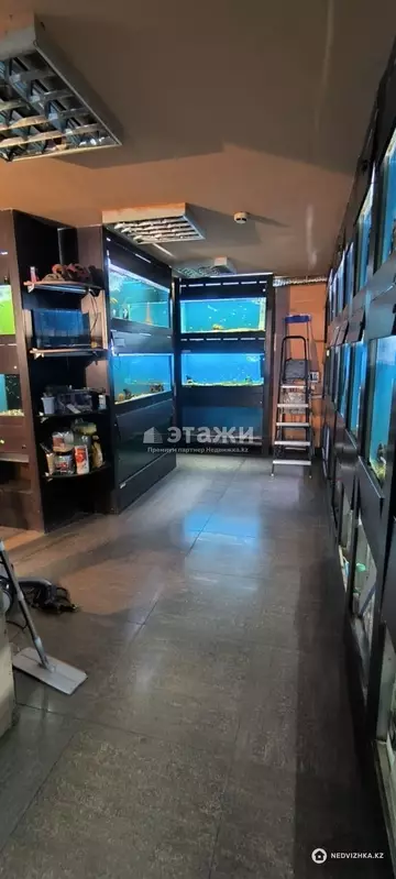 Торговое помещение, этаж 1 из 5, 79 м²