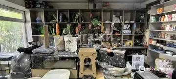 Торговое помещение, этаж 1 из 5, 79 м²