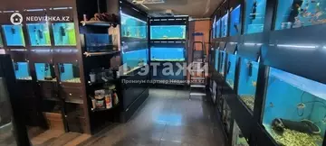 79.1 м², Торговое помещение, этаж 1 из 5, 79 м², изображение - 10