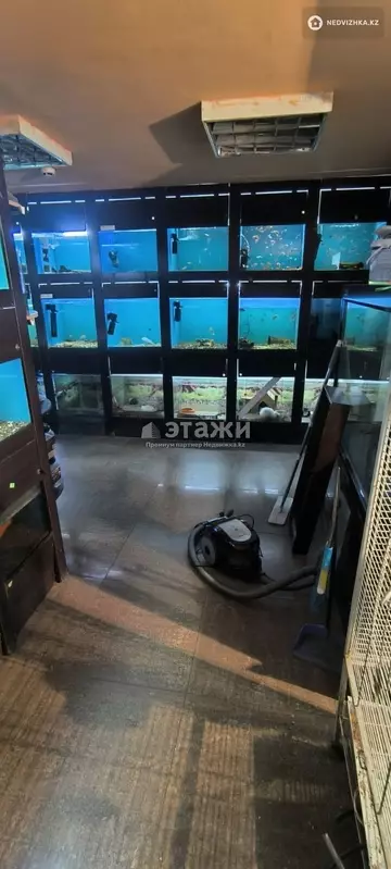 79.1 м², Торговое помещение, этаж 1 из 5, 79 м², изображение - 13