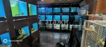 79.1 м², Торговое помещение, этаж 1 из 5, 79 м², изображение - 14